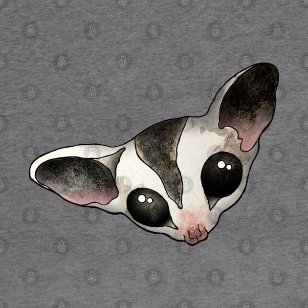 Sugar glider by Zodiart